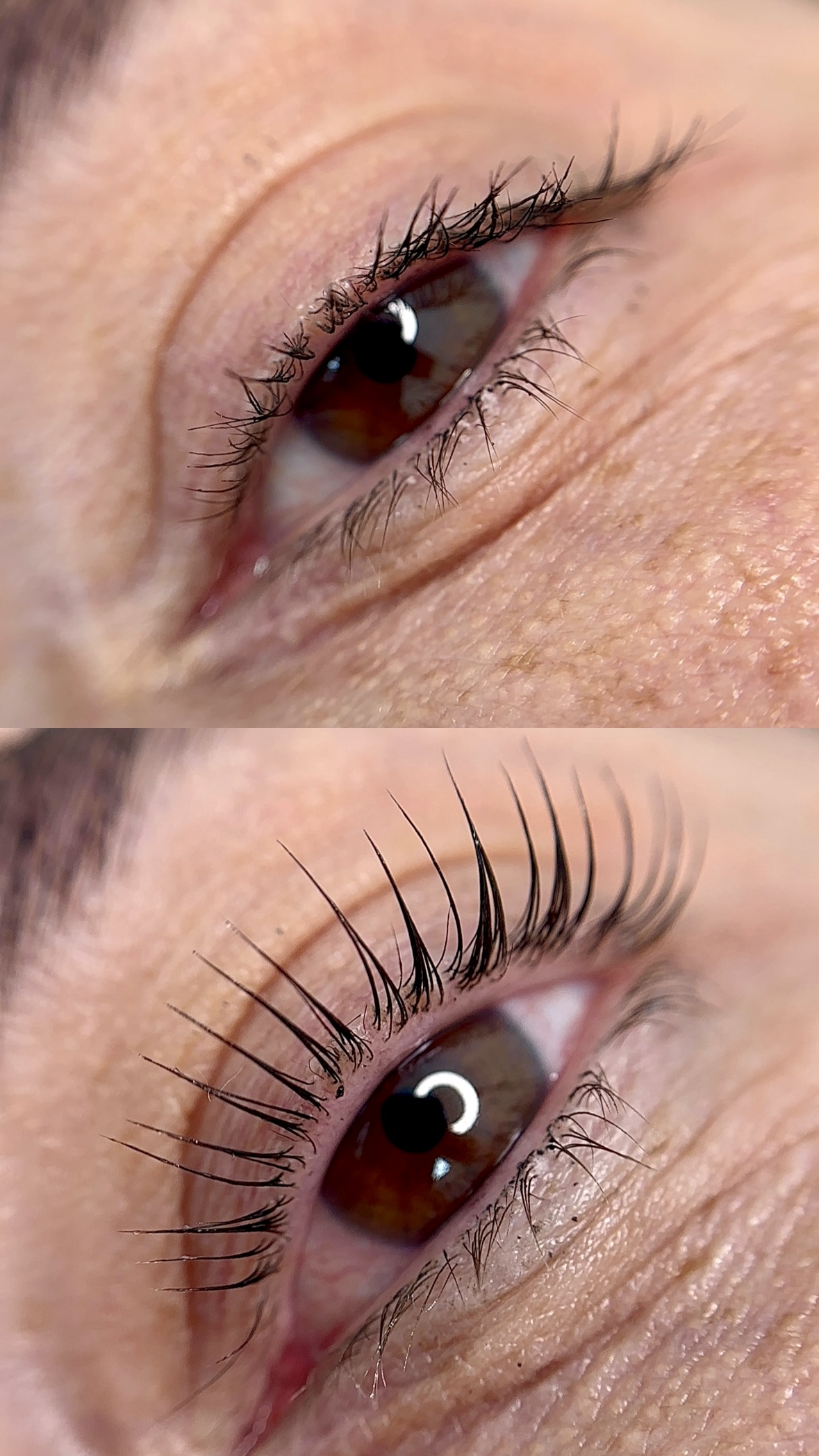 Resultado de lash lifting coreano