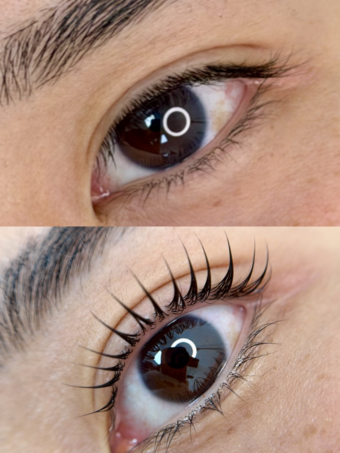 Resultado de lash lifting coreano